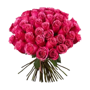 Love Pink