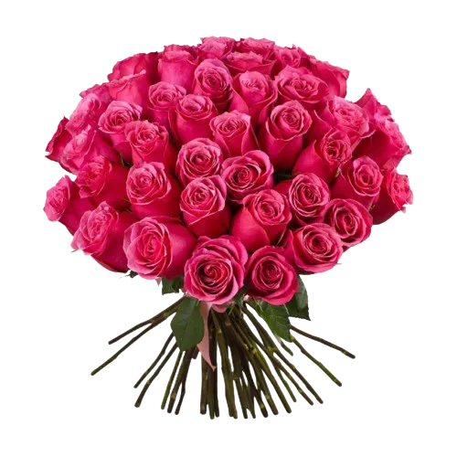 Love Pink
