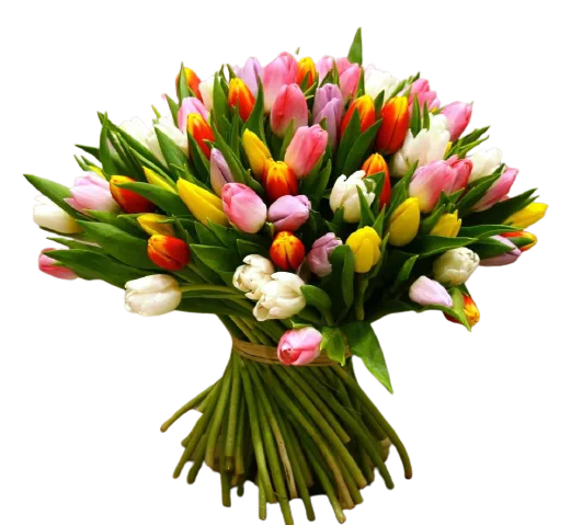 50 Tulips Bouquet