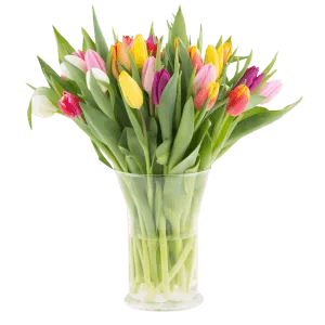 Colorful Vase
