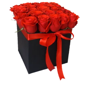 Red Roses in a black box