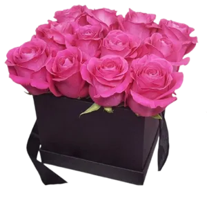 Pink Roses in a black box