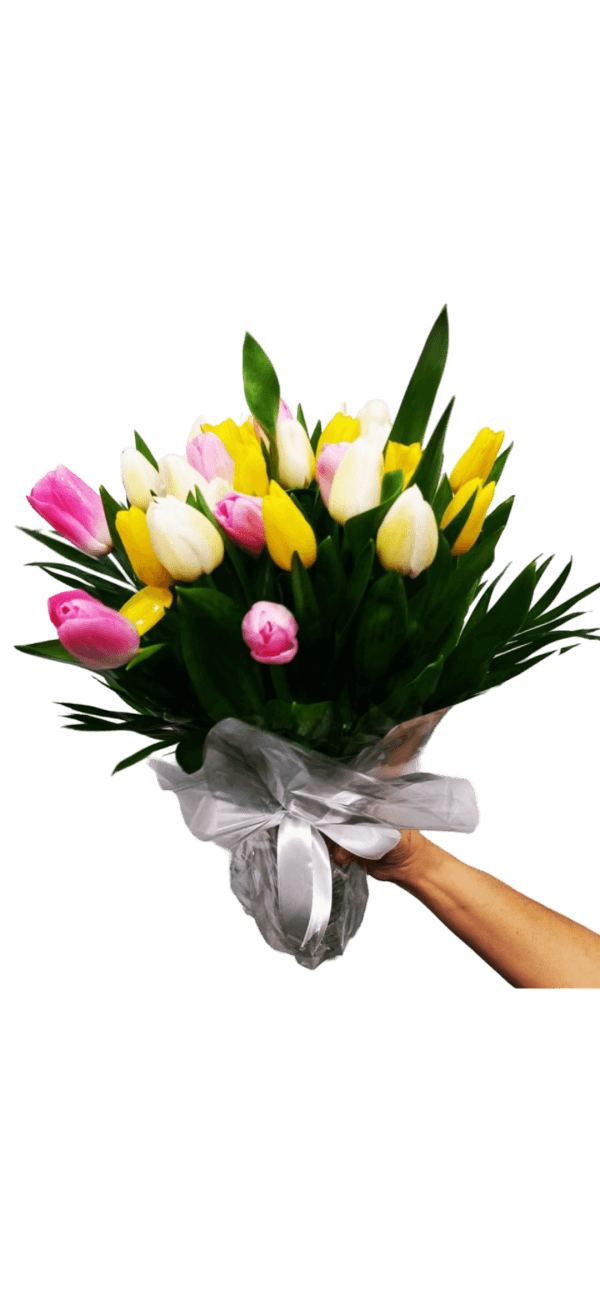 Tulips Lovers