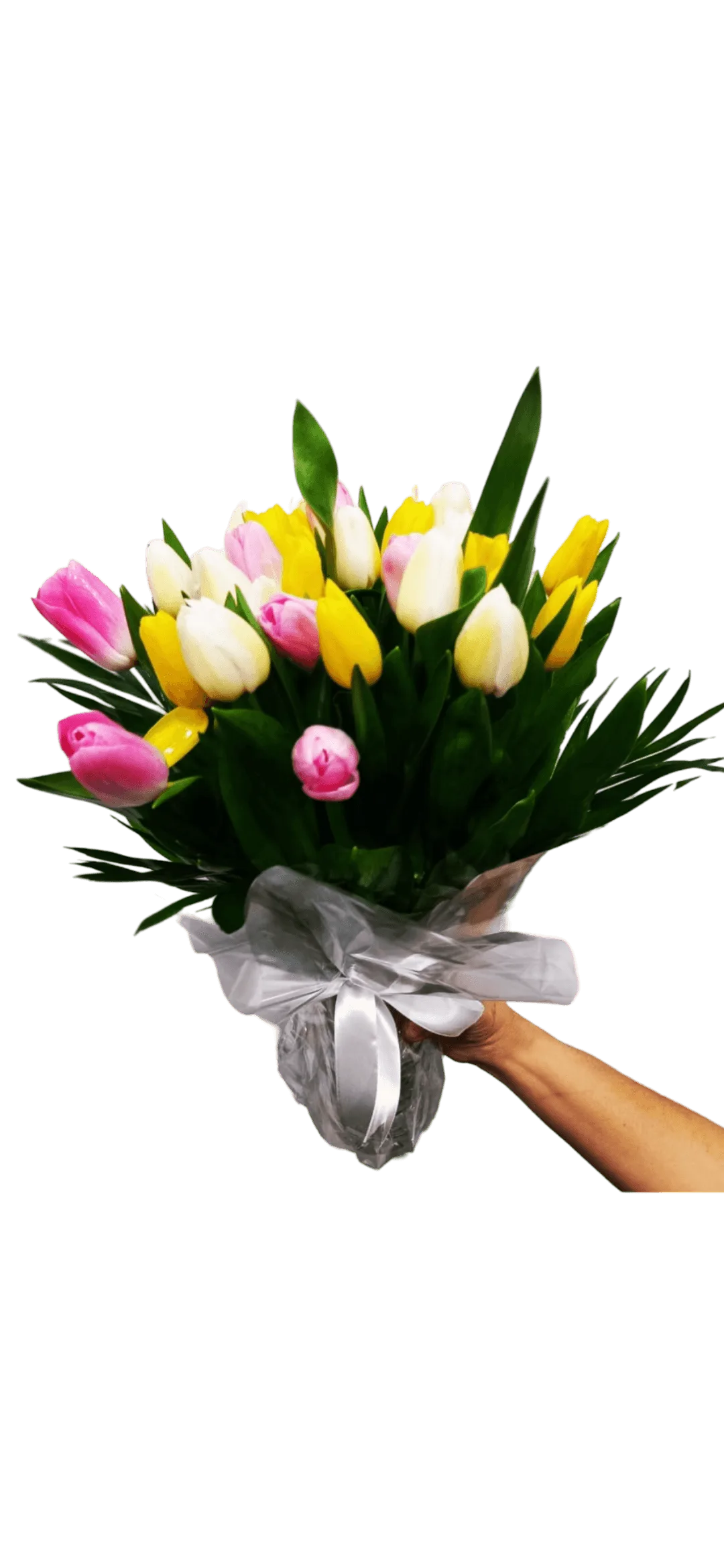 Tulips Lovers