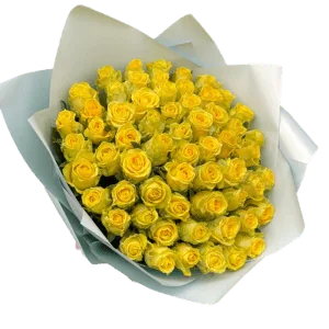 Yellowish 200