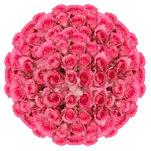 Pinky 200