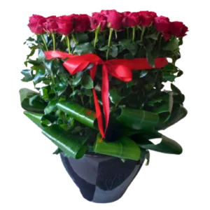 Black and Red Lovers