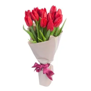Flame Tulips