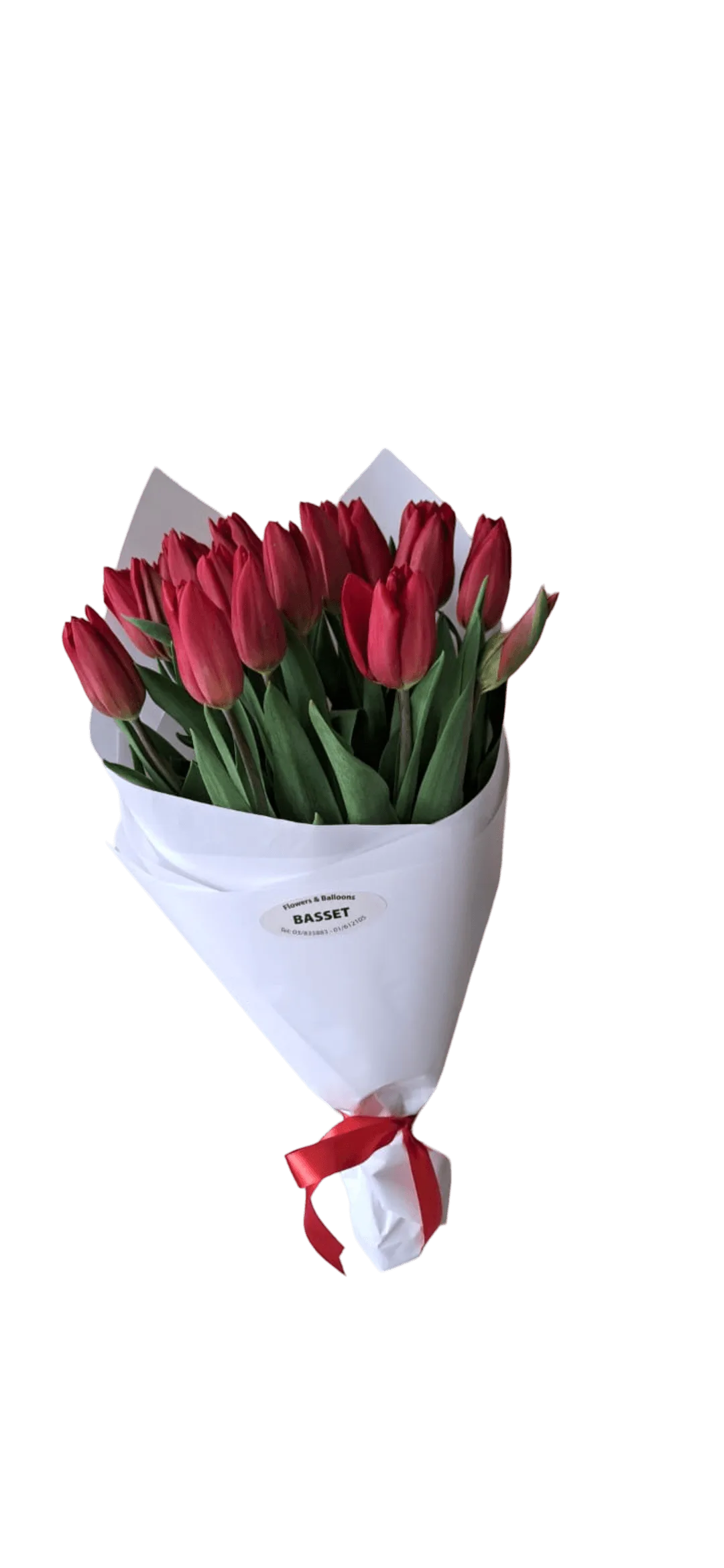 Flame Tulips - Image 2